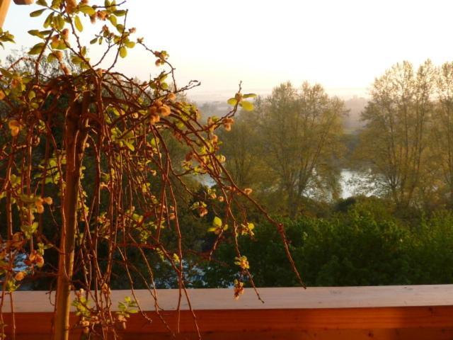 Le Dormeur Du Val Bed & Breakfast Le Mas-d'Agenais ห้อง รูปภาพ
