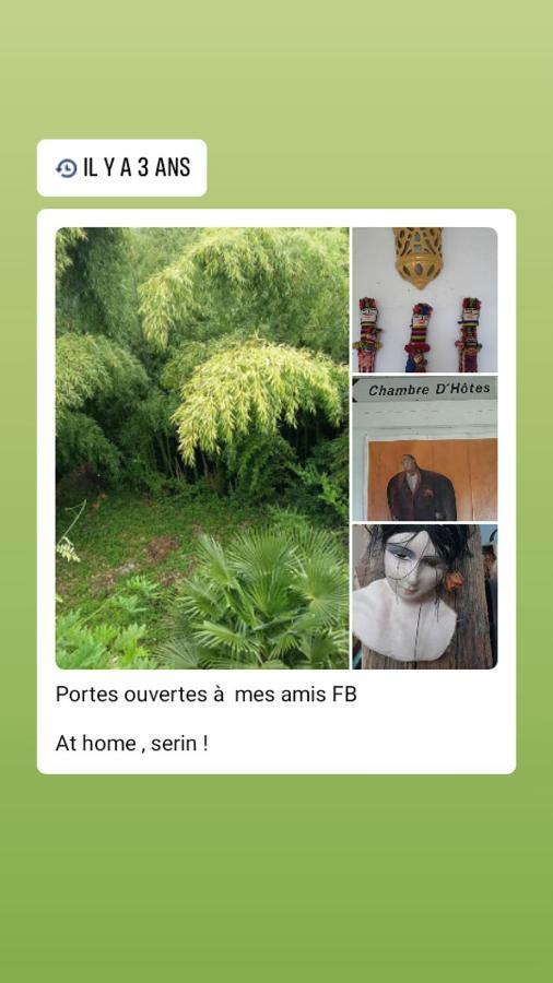 Le Dormeur Du Val Bed & Breakfast Le Mas-d'Agenais ภายนอก รูปภาพ